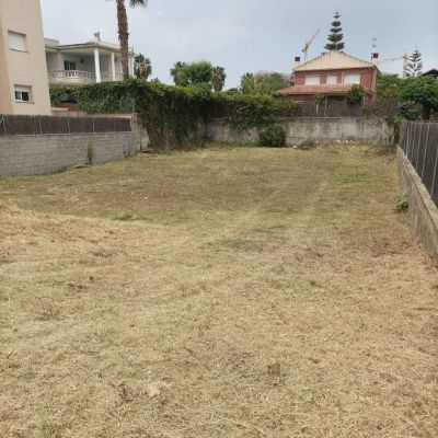 Photo by La Mediterrània on April 30, 2024. May be an image of grass.